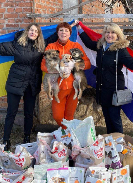 UAID Foundation provided pets food